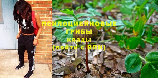 мяу мяу мука Абдулино