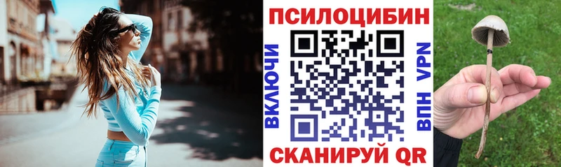 Псилоцибиновые грибы мухоморы  дарнет шоп  мега ссылки  Берёзовка 